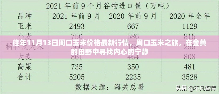 往年11月13日周口玉米價(jià)格更新，田野探索與內(nèi)心寧?kù)o之旅