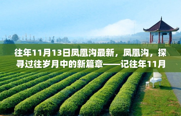 鳳凰溝探尋歲月變遷，往年11月13日的最新篇章