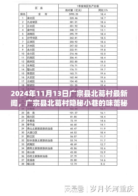 廣宗縣北葛村隱秘小巷的美食秘境，最新探秘之旅（2024年11月13日）