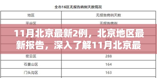 北京地區(qū)最新報(bào)告，深入了解11月新增兩例的產(chǎn)品特性與體驗(yàn)