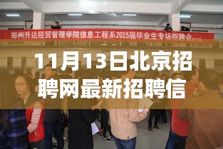 北京招聘網(wǎng)最新動態(tài)，聚焦招聘信息下的職場洞察與觀點(diǎn)碰撞（11月13日）