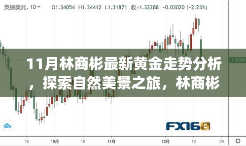 林商彬黃金走勢分析與自然美景探索，黃金與心靈的對話