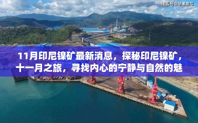 探秘印尼鎳礦，十一月之旅，與自然共舞，追尋內(nèi)心寧靜的魅力