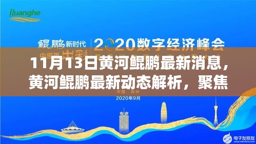 黃河鯤鵬最新動態(tài)解析，聚焦觀點與理由