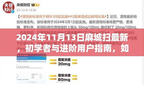 麻城掃最新技能指南，初學者與進階用戶如何掌握