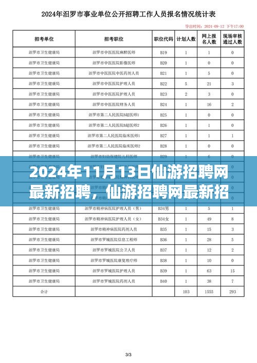 2024年11月13日仙游招聘網(wǎng)最新動態(tài)，聚焦人才市場熱點