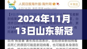 山東新冠疫情最新報告，多維視角下的深度分析（2024年11月13日）