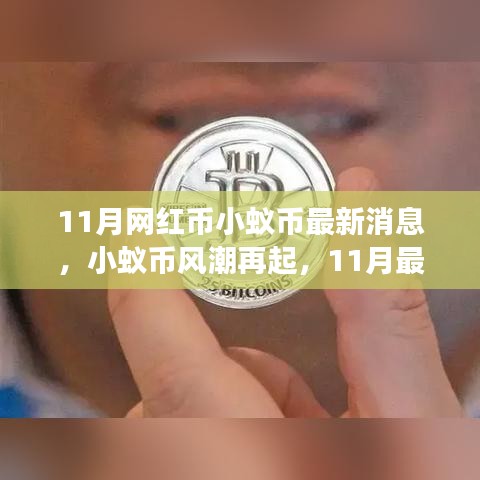 11月小蟻幣風(fēng)潮再燃，最新動(dòng)態(tài)與深度解讀
