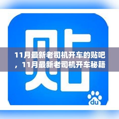 揭秘！11月最新老司機(jī)開車秘籍，貼吧駕駛技巧大解密！