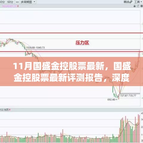 國(guó)盛金控股票最新動(dòng)態(tài)，產(chǎn)品特性深度剖析、用戶體驗(yàn)與目標(biāo)用戶群體分析報(bào)告