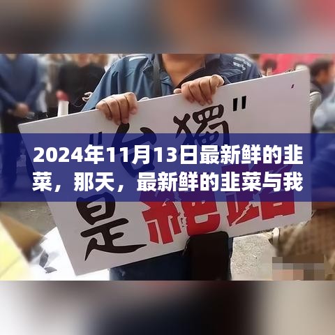新鮮韭菜與溫馨故事，2024年11月13日的邂逅