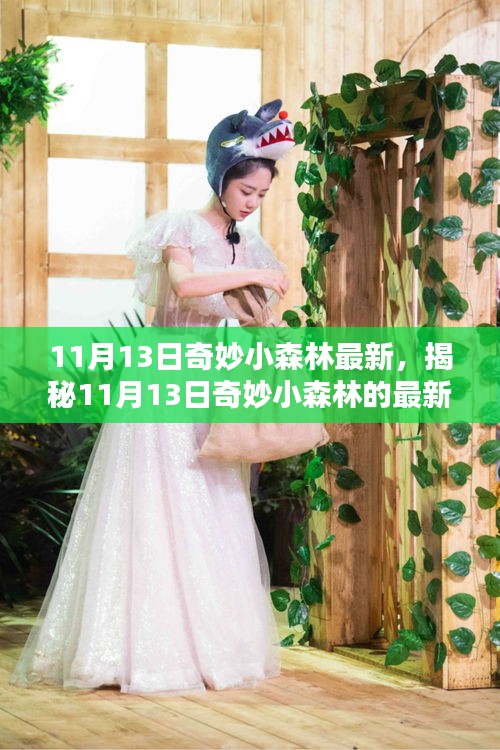 揭秘，最新動態(tài)，探索奇妙小森林的未知領域（日期，11月13日）