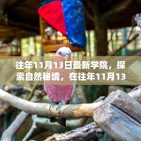 往年11月13日學院探索自然秘境之旅，追尋內(nèi)心的寧靜與笑聲