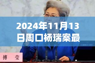 楊瑞案背后的故事，變化的力量與自信的重生最新進展，周口楊瑞案深度剖析（2024年11月13日）
