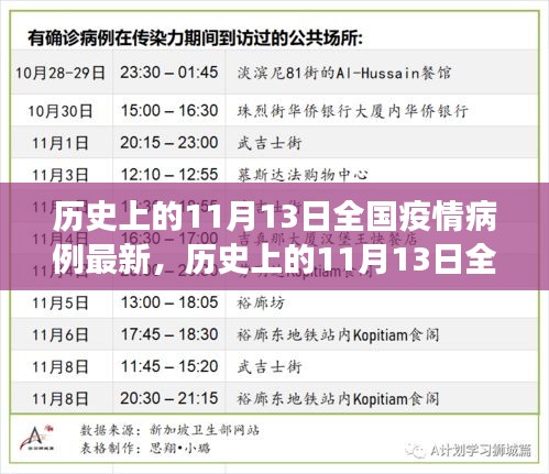 歷史上的11月13日全國(guó)疫情病例最新進(jìn)展與科普解讀，疫情動(dòng)態(tài)及影響分析
