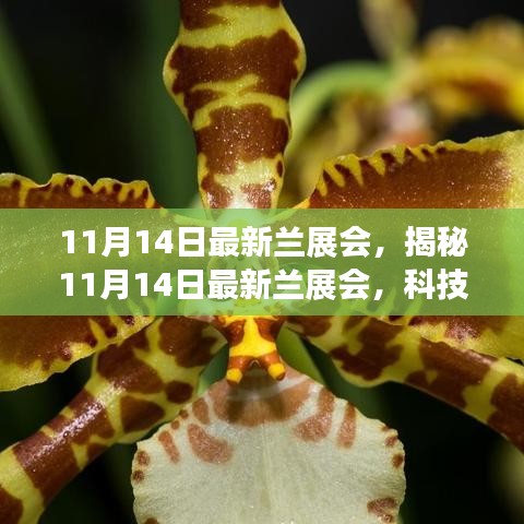 揭秘最新蘭展會，科技革新引領(lǐng)未來生活風采展盛大開幕
