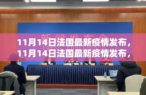 法國最新疫情發(fā)布深度解析，當前形勢與應對策略探討（11月14日更新）