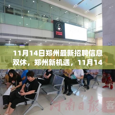 鄭州最新招聘信息揭秘，學(xué)習(xí)與成長之旅，雙休路上的自信與成就感