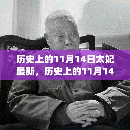 歷史上的11月14日太妃傳奇，最新解讀與影響全解析