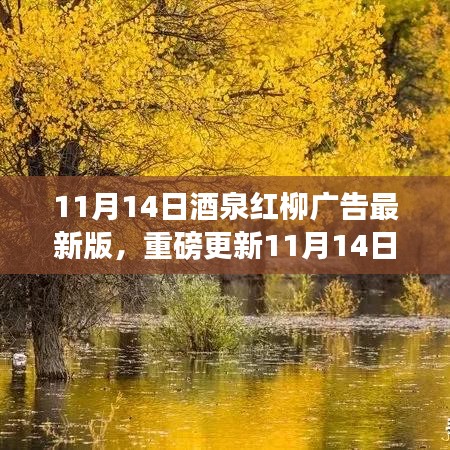 11月14日酒泉紅柳廣告最新版，重磅更新，精彩紛呈