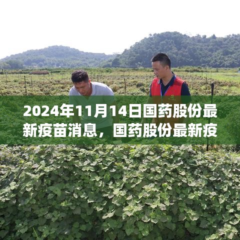 國藥股份最新疫苗科技突破，前沿科技重塑健康防線之旅