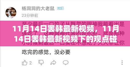 11月14日罷韓最新視頻，觀點(diǎn)碰撞與個(gè)人立場探討