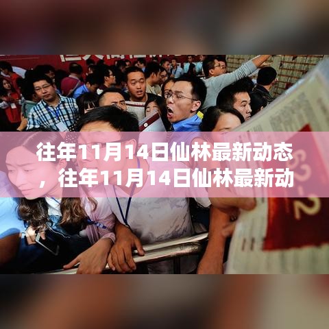 往年11月14日仙林動態(tài)深度解析，特性體驗、競品對比與用戶群體分析報告