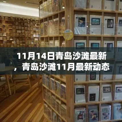 探尋秋日青島沙灘別樣風(fēng)情，最新動態(tài)與沙灘風(fēng)情體驗（11月篇）