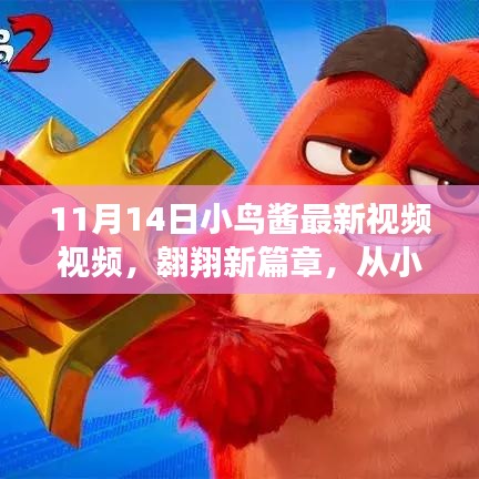 小鳥醬翱翔新篇章，學(xué)習(xí)變化的力量揭秘視頻首曝