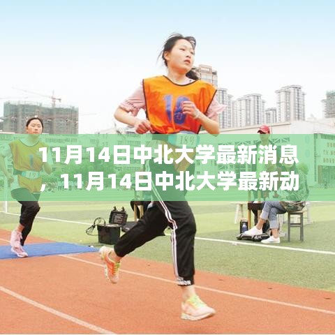 11月14日中北大學(xué)最新消息與動態(tài)速遞，校園熱點一覽