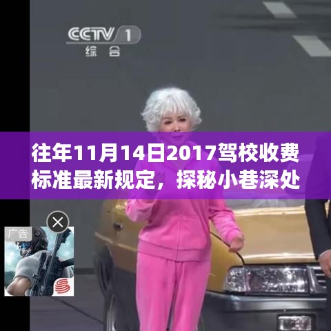 探秘駕校新規(guī)定下的駕駛夢想港灣，獨(dú)特學(xué)車體驗(yàn)與最新收費(fèi)標(biāo)準(zhǔn)揭秘