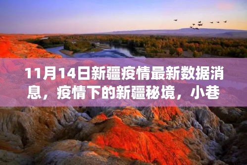 新疆疫情最新動(dòng)態(tài)，秘境小巷的特色小店與疫情數(shù)據(jù)交織的故事