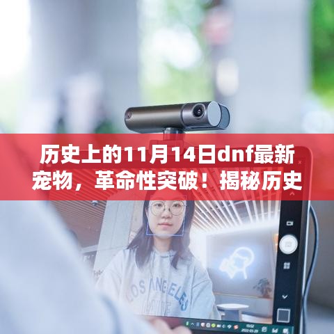 揭秘歷史上的11月14日dnf全新智能寵物，未來生活的新伙伴，革命性突破！