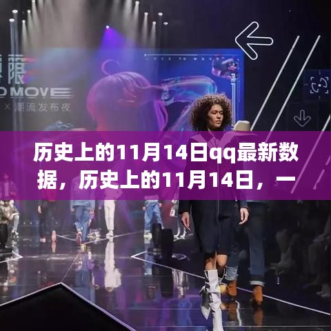 歷史上的11月14日，QQ數(shù)據(jù)揭秘與自然的共舞之旅
