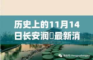 長安潤璟秘境探索，歷史與美食的碰撞時刻，最新消息揭秘秘密小店