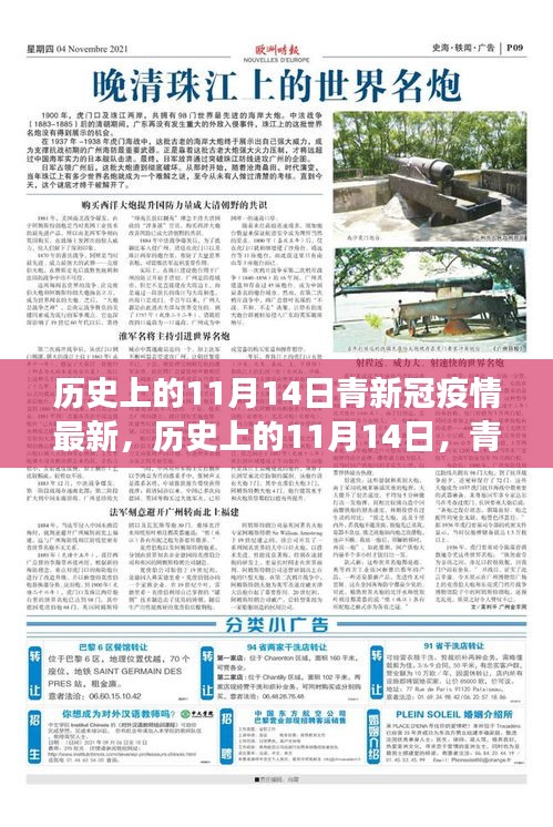 歷史上的11月14日，青新冠疫情最新進(jìn)展及其社會反響與觀點(diǎn)碰撞