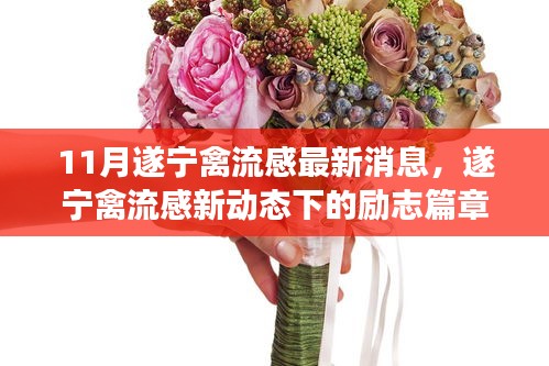 遂寧禽流感最新動態(tài)下的勵志篇章，變化中的學(xué)習(xí)成就自信之源