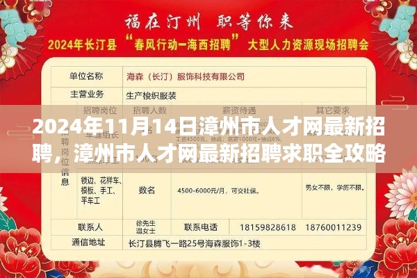 漳州市人才網(wǎng)最新招聘求職攻略，成功應(yīng)聘心儀職位全解析（2024年11月）