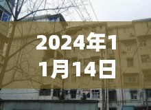 洛寧二手房最新信息探索，巷弄之韻與隱藏的小巷故事（最新信息門戶）