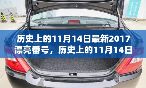 歷史上的11月14日最新2017漂亮番號，歷史上的11月14日，探尋那些閃耀的瞬間與美好記憶??