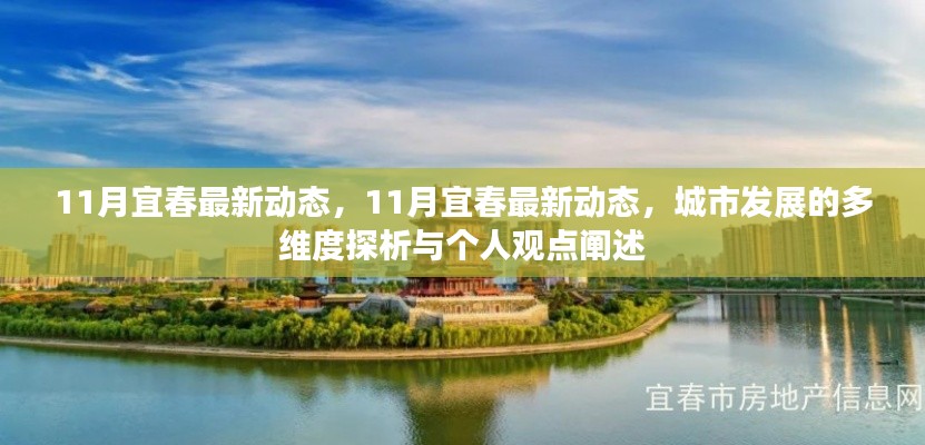 11月宜春最新動態(tài)，多維度探析城市發(fā)展，個人觀點闡述
