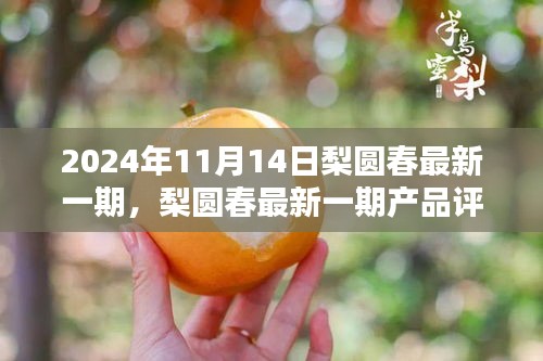 梨圓春產(chǎn)品評測報告，特性、體驗、對比與用戶需求深度解析