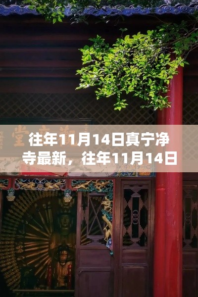 往年11月14日真寧凈寺探訪攻略，領(lǐng)略古寺魅力，最新指南全解析