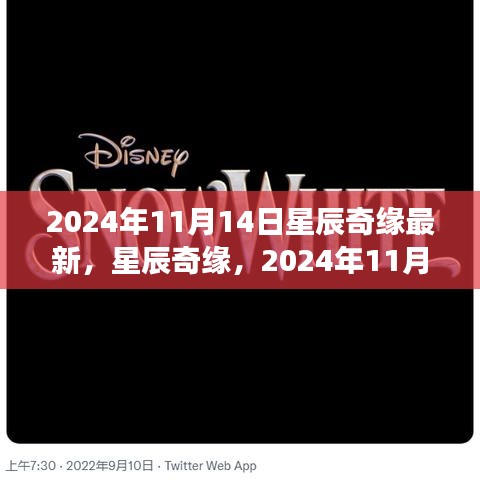 星辰奇緣夢幻邂逅，2024年11月14日星辰大海的最新揭秘