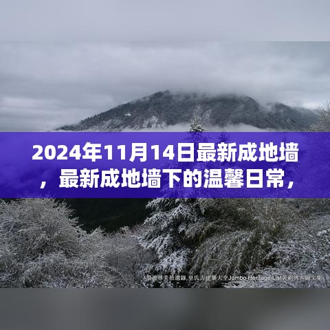 最新成地墻下的溫馨日常，友誼與愛共筑美好家園的2024年1月記事