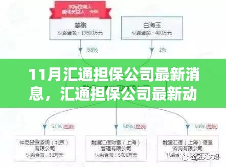 匯通擔(dān)保公司最新動態(tài)解析及觀點(diǎn)探析，11月最新消息速遞