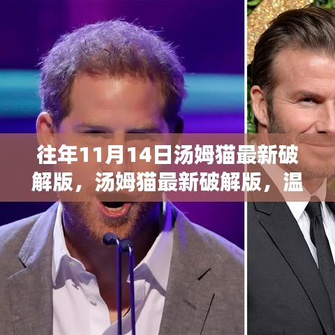 溫馨十一月，湯姆貓最新破解版與友情相伴的奇妙日常