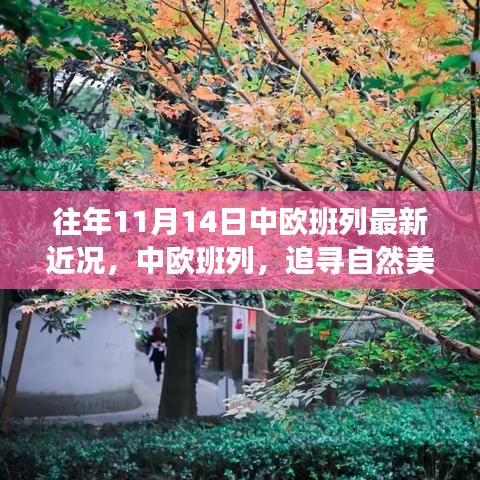 中歐班列秋日序曲，追尋自然美景與內(nèi)心寧靜之旅的最新近況