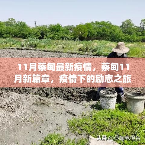 蔡甸11月疫情新篇章，勵志之旅展現(xiàn)自信與成就之光