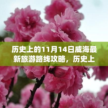 歷史上的11月14日威海旅游路線全新攻略，最新旅游路線探索
